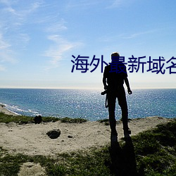 海外(外)最新域名(名)