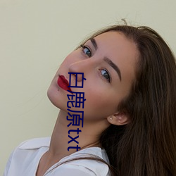 白鹿原txt