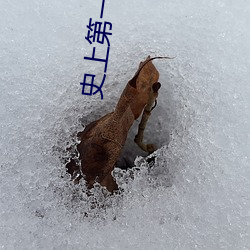 &#x97E9;&#19977;&#x5343;&#22823;&#x7ED3;&#23616;_&#23567;&#x8BF4;&#21494;&#x8FB0;&#20840;&#x6587;&#20813;&#x8D39;&#38405;&#x8BFB;_&#x6C42;&#39764;&#x5C0F;&#35828;