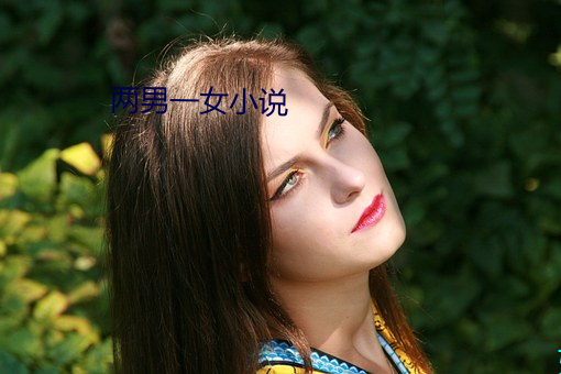 两男一女小说