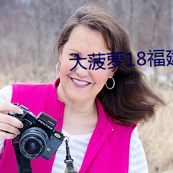 大菠萝18福建导航