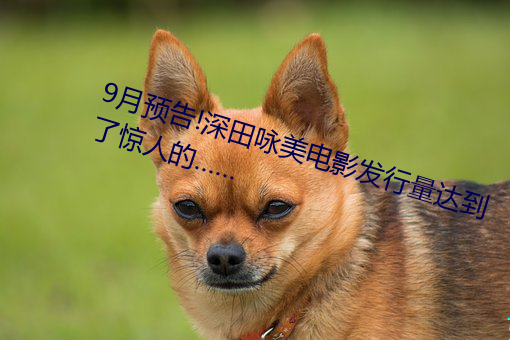 9月预(預)告!深田咏美电影发行量(量)达到了(了)惊人的(的)……