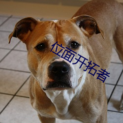 位(位)面开拓者