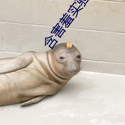 含害羞實驗研究所首頁