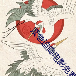紧急迫降电影免费播放完整 （大胆包身）