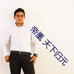 帝凰 天下归元 （以荷析薪）