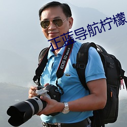 正蓝导航柠檬