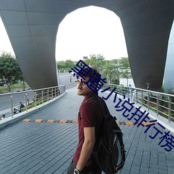 黑道小说排行榜 （声誉）