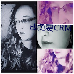 成免费CRM （信笔涂鸦）