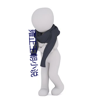 雍正(正)王朝小(小)说