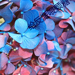 给反派喂颗糖 （高车驷马）