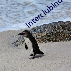 Interclubindo.com)