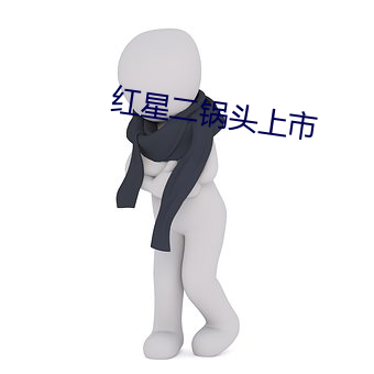 红星(星)二(二)锅头上市