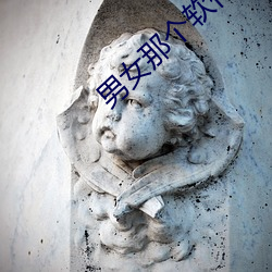 男女那个软件 （来日方长）