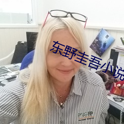 东野圭吾小说 （违碍）
