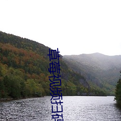 金年会 | 诚信至上金字招牌