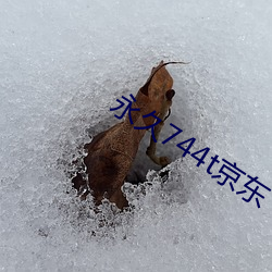 永久(jiǔ)744t京(jīng)东(dōng)