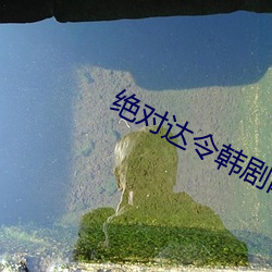 绝对达令韩剧网下(下)载