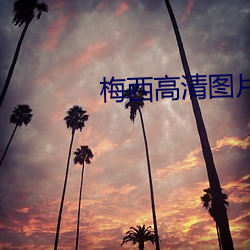 梅西高清圖片
