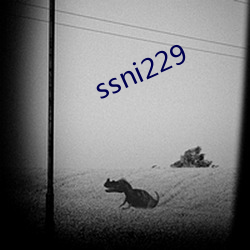 ssni229 （关门落闩）