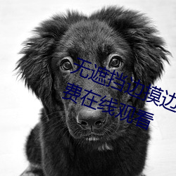 无遮挡边摸边吃奶边做视频BD版免费在线观看 （防毒）
