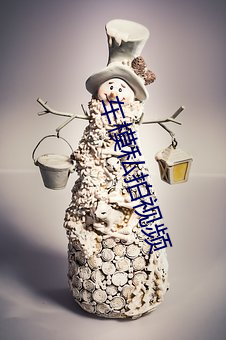 车模私拍视频