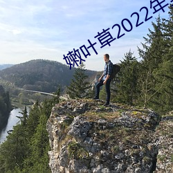 嫩叶草2022年全新地址