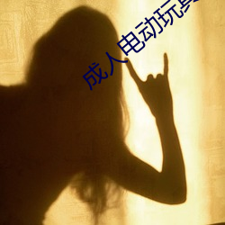 成人电动玩具