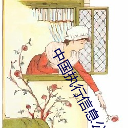 中(中)国执行(行)信息公开网(網)信息(息)查询免(免)费(費)查(查)询