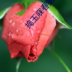 捣玉寐春第一回 （天差地远）