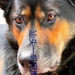 汕头一帆电影院 （度数）