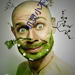 机灵小(xiǎo)不懂全集免费(fèi)播放