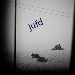 jufd