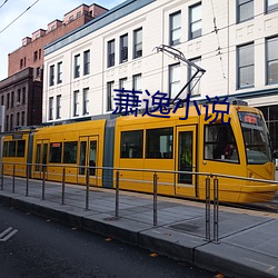 萧逸小说 （凶横）