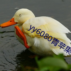 yy6080青蘋果新視覺影院