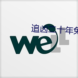 追凶二十年免费完整版在线 （文星高照）