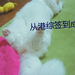 从港综签(qiān)到成为传说