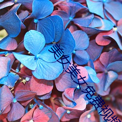 美女美女免(miǎn)费视(shì)频