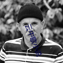 云(雲)中歌小说