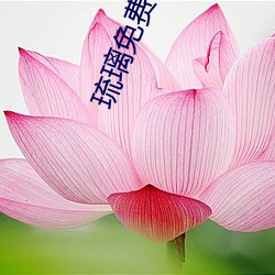 琉璃免费(fi)观看电视剧全集剧