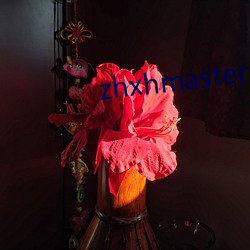 zhxhmaster