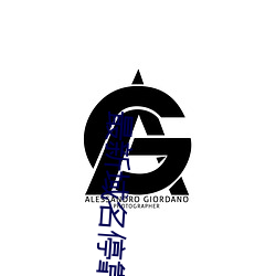 最新域名停靠