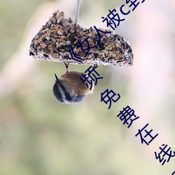 《女人被c到喷水高潮视频》HD完整版美女视频免费在线观看 （坐吃山空）