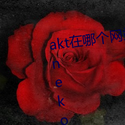 akt在哪(nǎ)个(gè)网站发作品(pǐn) 原神aktvicineko入口链接