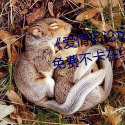 &#x65B0;&#37329;&#x74F6;&#24724;1&#19968;5&#38598;&#x514D;&#36153;-&#21320;&#x591C;&#26102;&#x523B;&#22312;&#x7EBF;&#35266;&#x770B;-&#x571F;&#32819;&#x5176;&#21095;&#x6211;&#30340;&#x53E6;&#19968;&#x9762;&#20813;&#x8D39;&#35266;&#x770B;