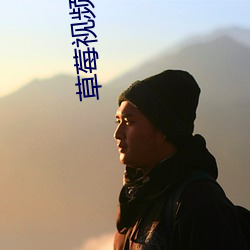 草(草)莓视频(頻)污APP安卓(卓)版