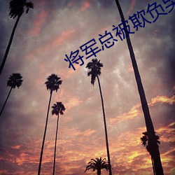 将军总被欺负哭 （随世沈浮）