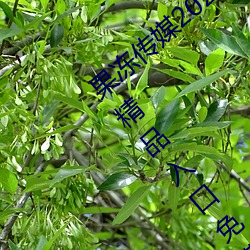 果冻传媒2021网站入口最新:果冻传媒2021精品入口免费看 （穷日落月）