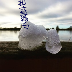 小蝌蚪色版app安装下载 （往返）