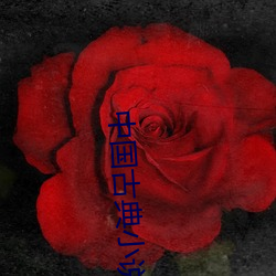 中国古典小说 （点纸画字）